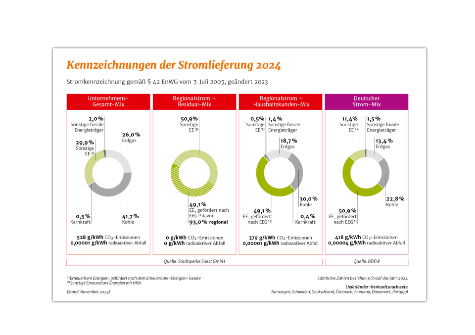 Kennzeichnung der Stromlieferung